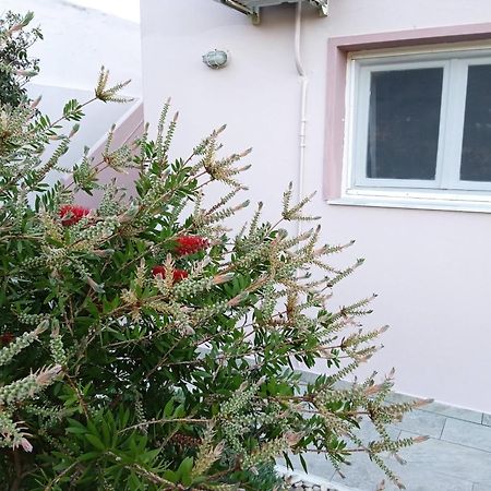 Andros Lighthouse Apartments Mesaria  Exterior foto