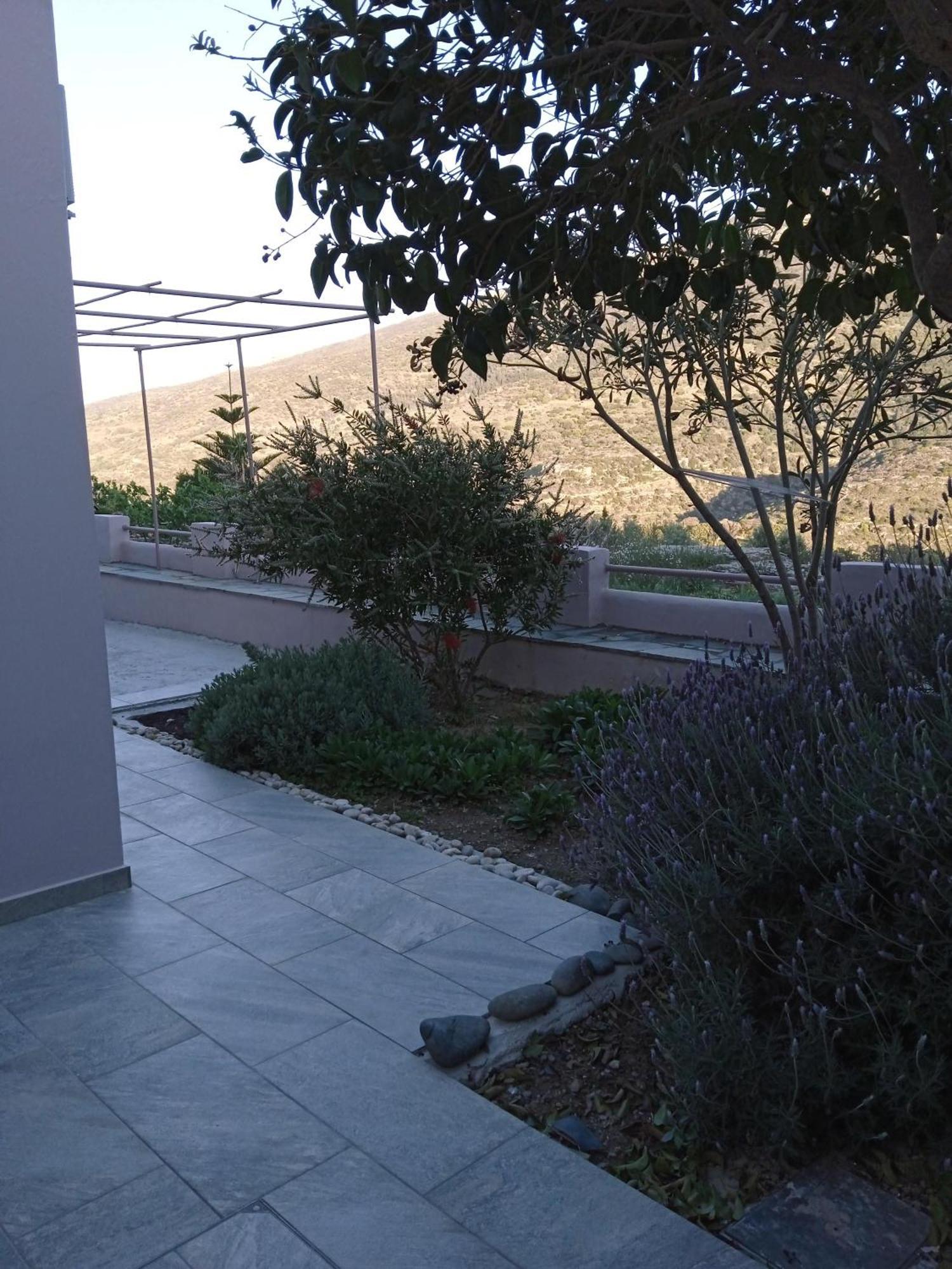 Andros Lighthouse Apartments Mesaria  Exterior foto